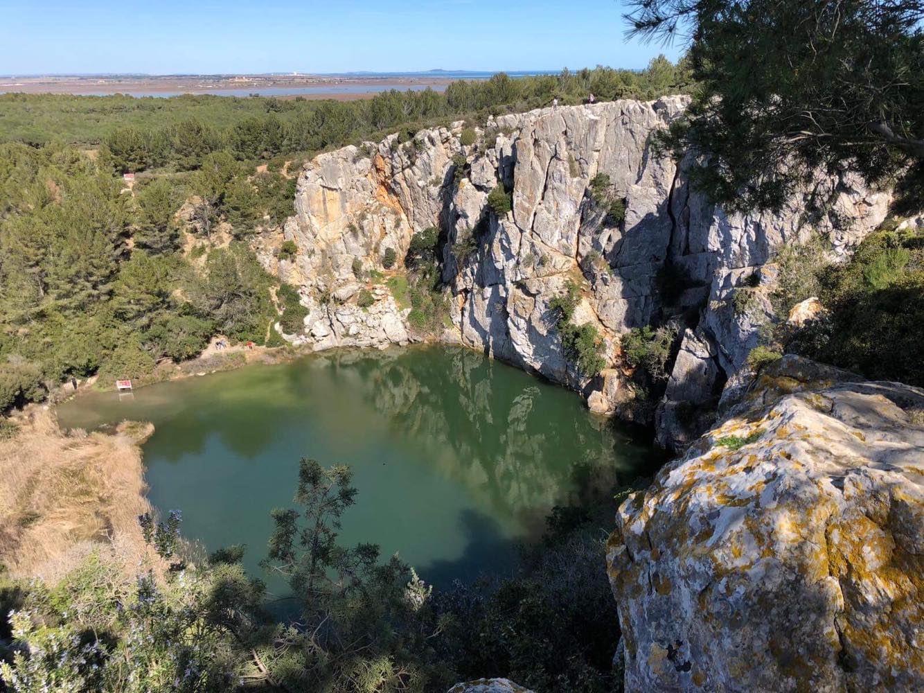 31388037_2027499573945188_8269004658433851392_n