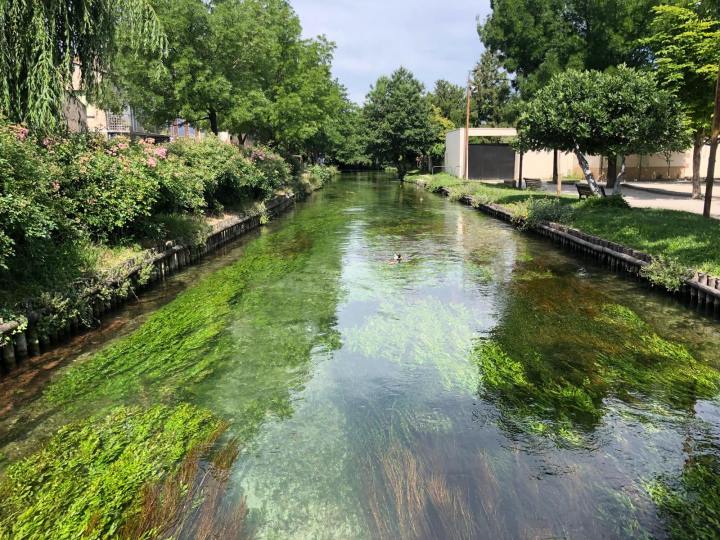 36087959_1950332781667558_8004965402109018112_n