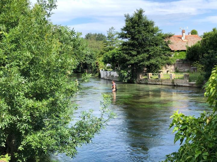 36088018_1950333208334182_8716766720007602176_n