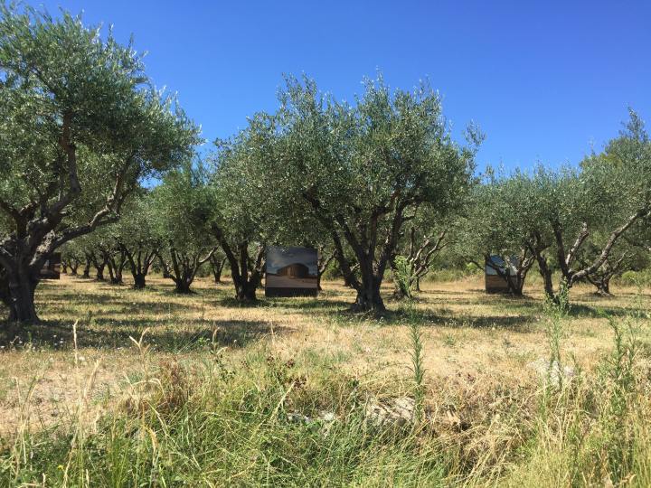 48415273_380491719367898_3419933542698713088_n