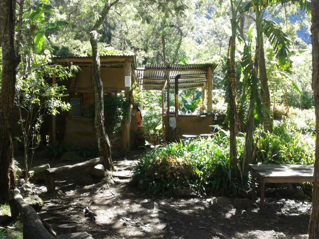 Ascension du Piton des Neiges