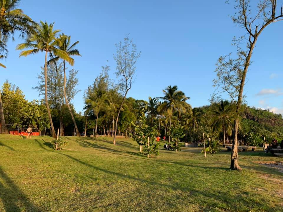 quand partir à la réunion