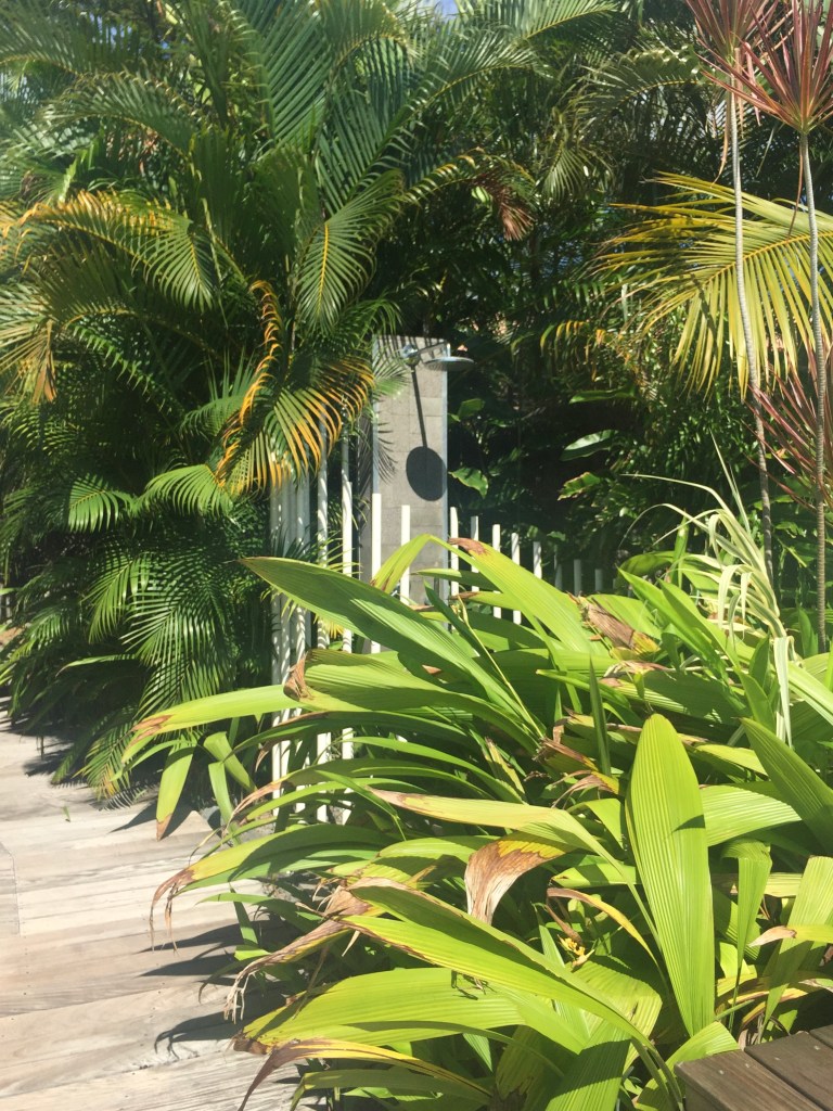 quels sont les avantages et les inconvénients de vivre à La Réunion